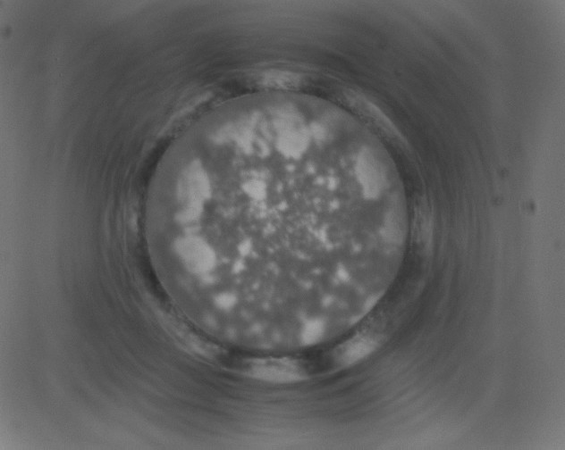 X0000081310363200702012340