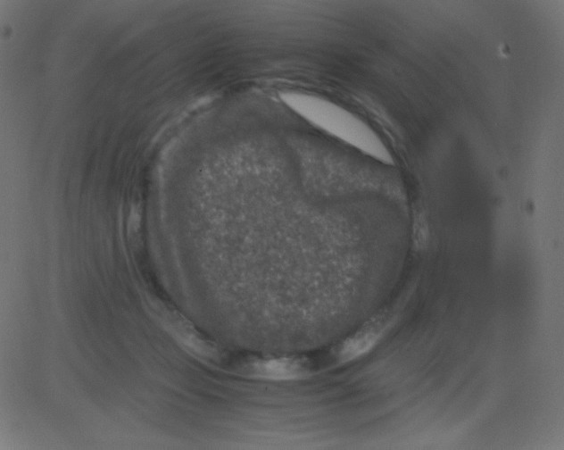 X0000081310365200702012340