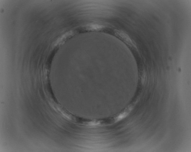 X0000081310366200702012340