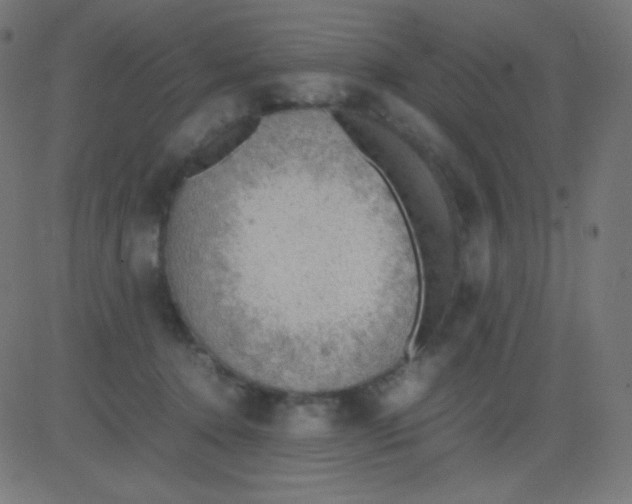 X0000081310368200702012340