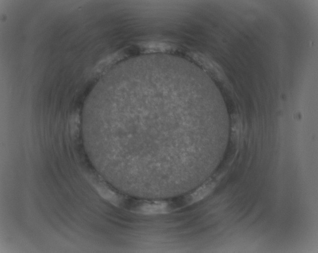 X0000081310369200702012340