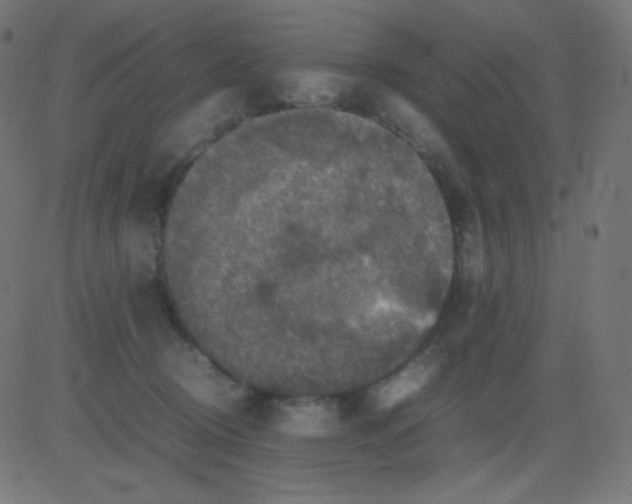 X0000081310370200702012340