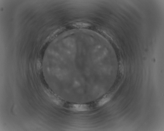 X0000081310371200702012340