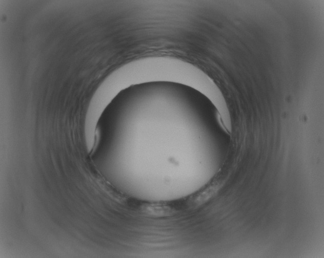 X0000081310372200702012340