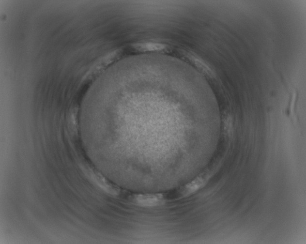 X0000081310373200702012340