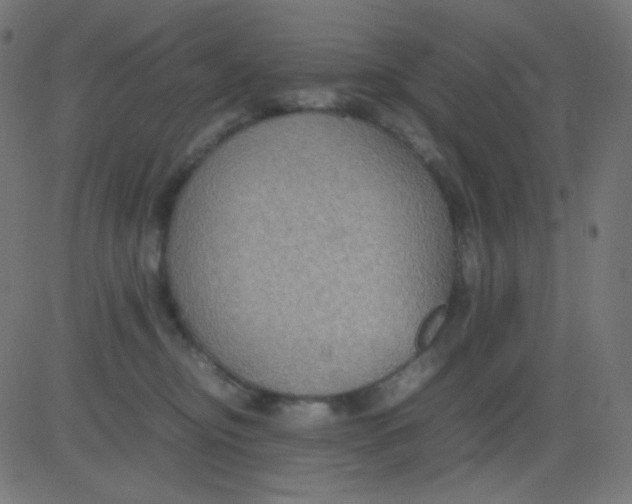 X0000081310374200702012340