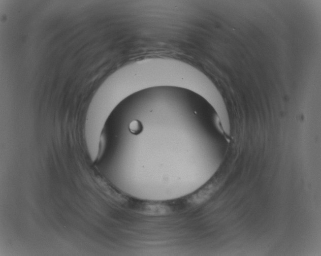 X0000081310376200702012340