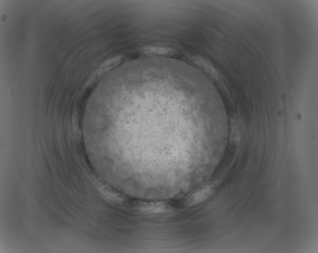 X0000081310377200702012340