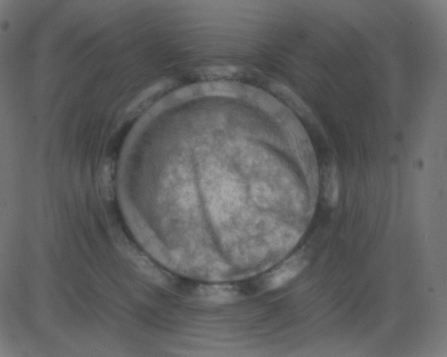 X0000081310378200702012340