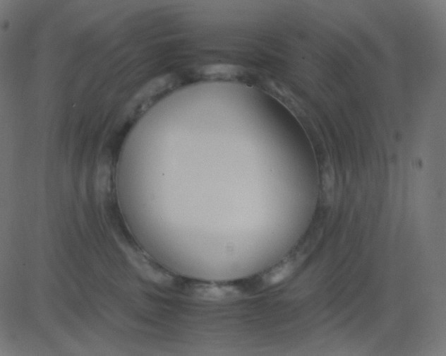 X0000081310379200702012340