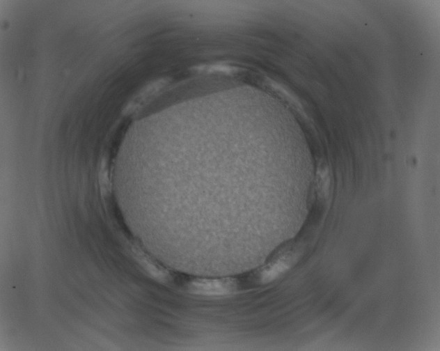 X0000081310381200702012340