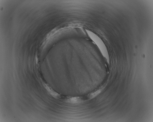 X0000081310382200702012340