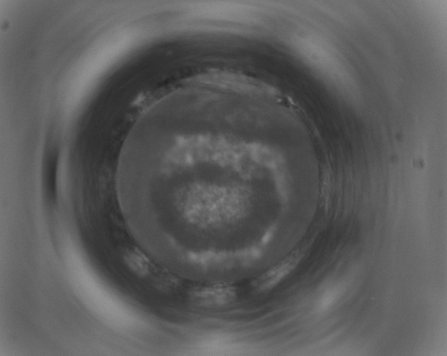 X0000081310383200702012340