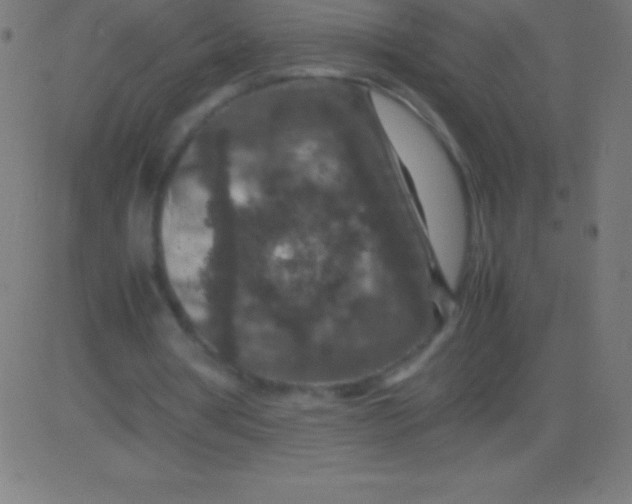 X0000081310386200702012340