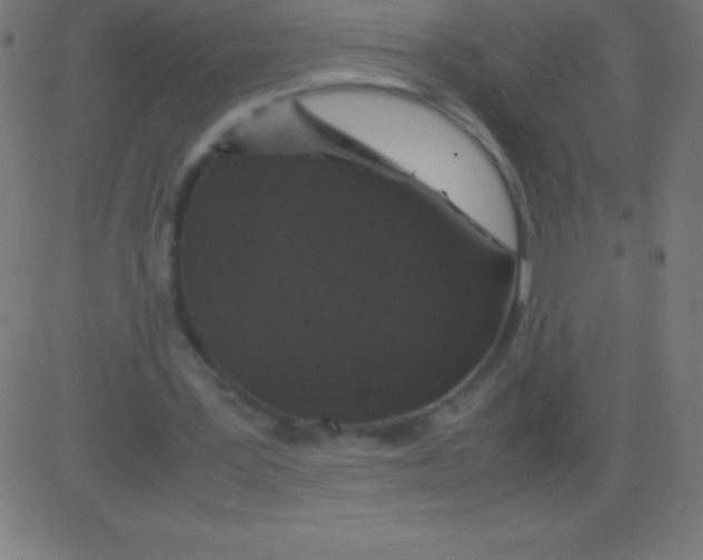 X0000081310387200702012340