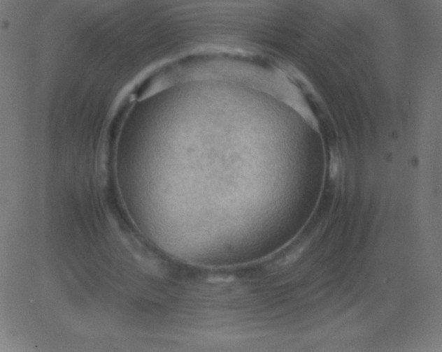 X0000081310388200702012340