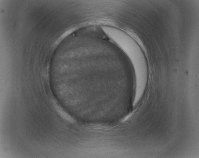 X0000081310389200702012339