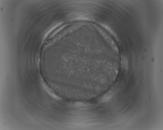 X0000081310390200702012339