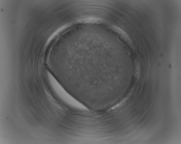 X0000081310392200702012339