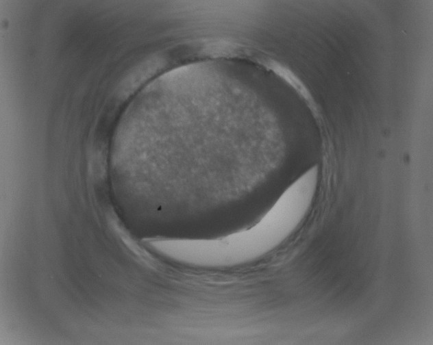 X0000081310393200702012339