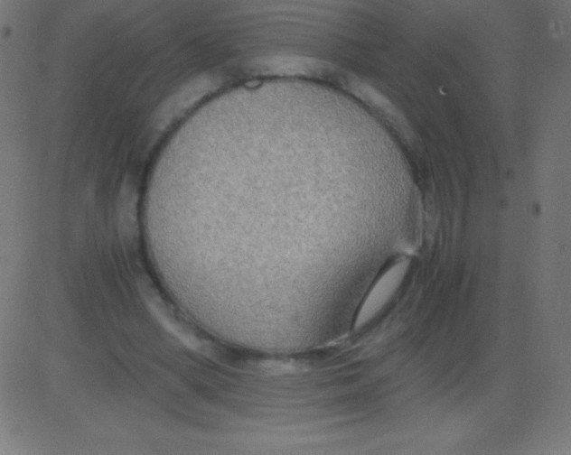 X0000081310394200702012339