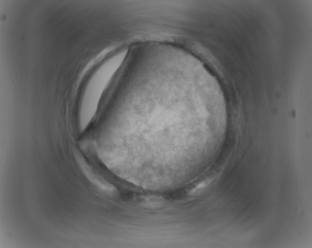 X0000081310395200702012339