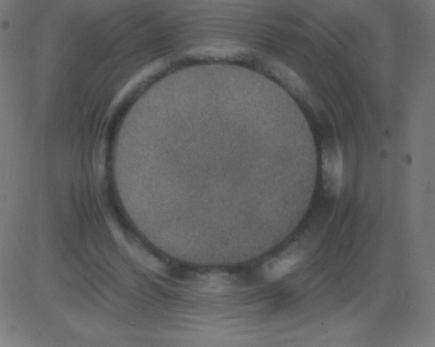 X0000081310396200702012339