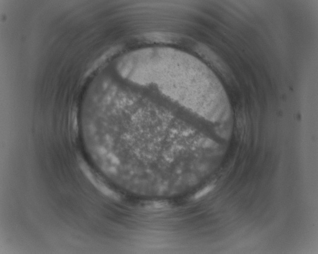 X0000081310398200702012339