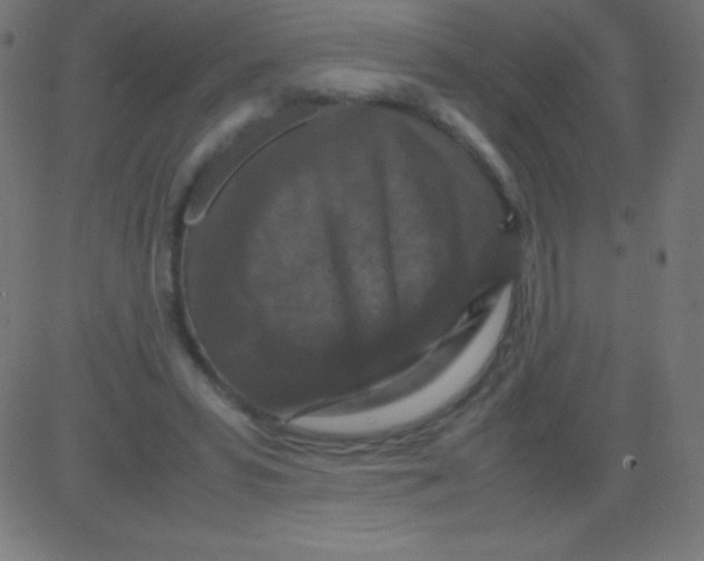 X0000081310399200702012339