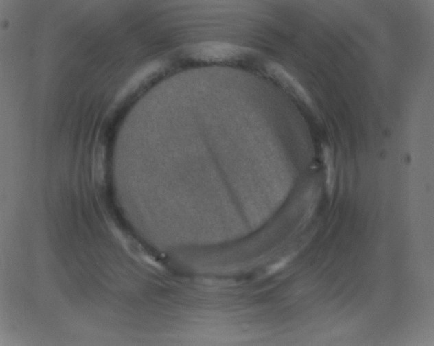 X0000081310400200702012339