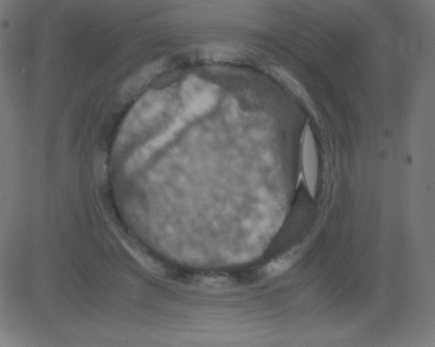 X0000081310401200702012339