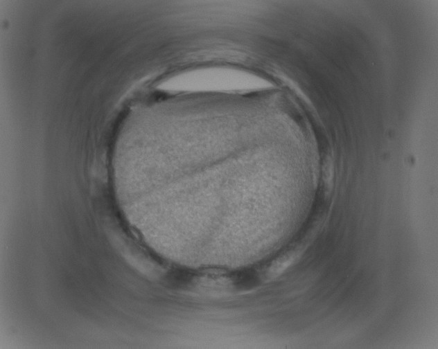 X0000081310403200702012339