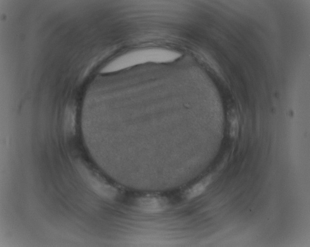 X0000081310404200702012339