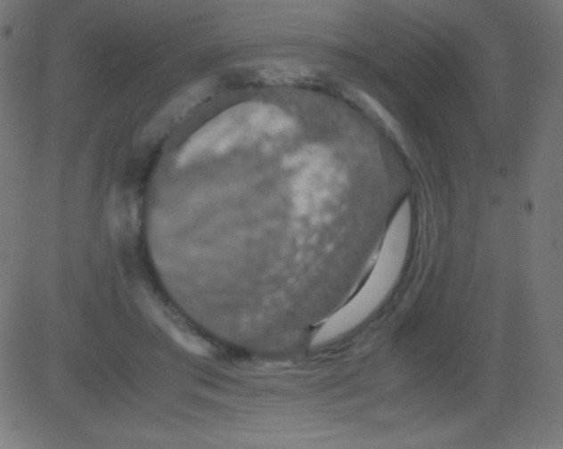 X0000081310405200702012339