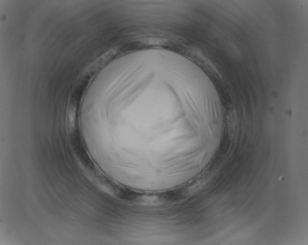 X0000081310406200702012339