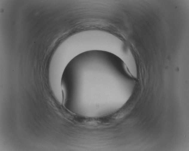 X0000081310407200702012339