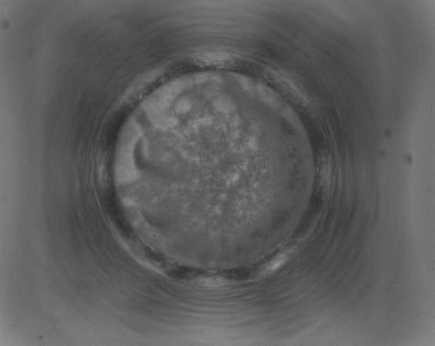 X0000081310408200702012339