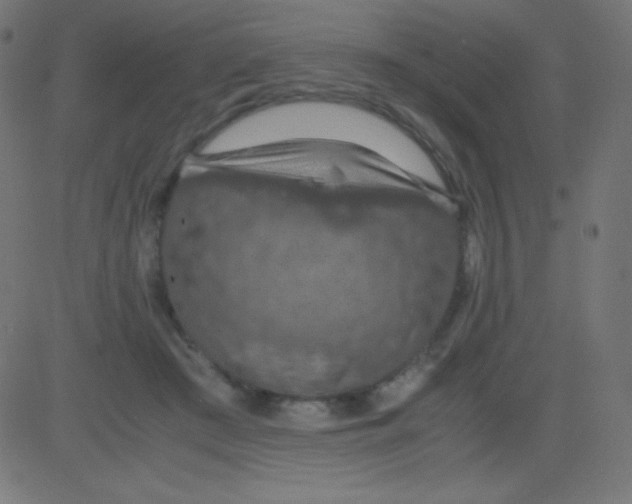 X0000081310409200702012339