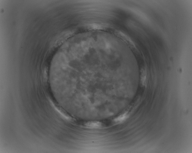 X0000081310410200702012339