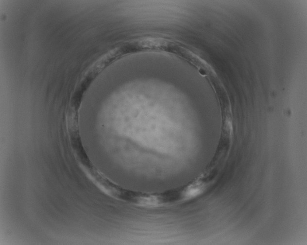 X0000081310411200702012339