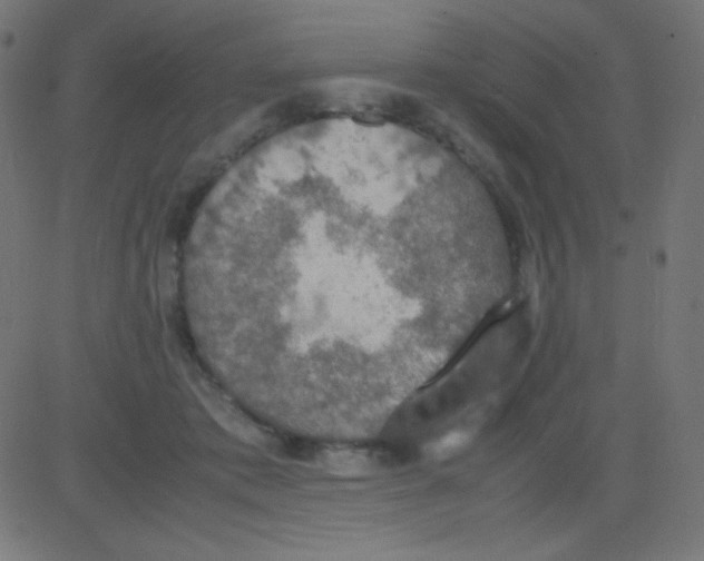 X0000081310413200702012339