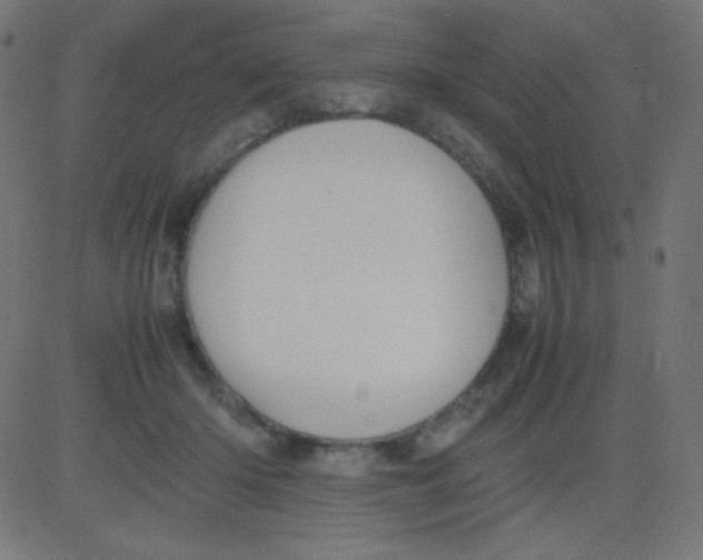 X0000081310414200702012339