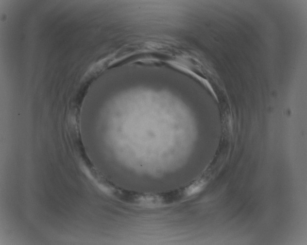 X0000081310415200702012339