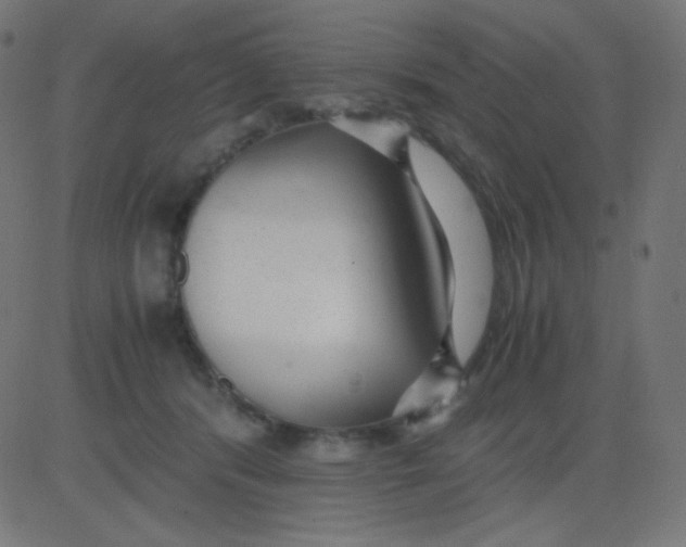 X0000081310416200702012339