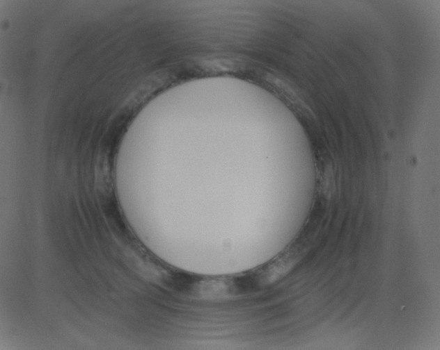 X0000081310418200702012339