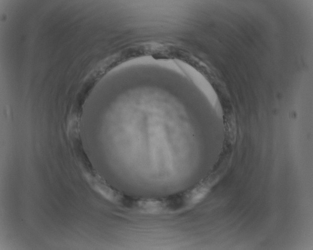 X0000081310419200702012339