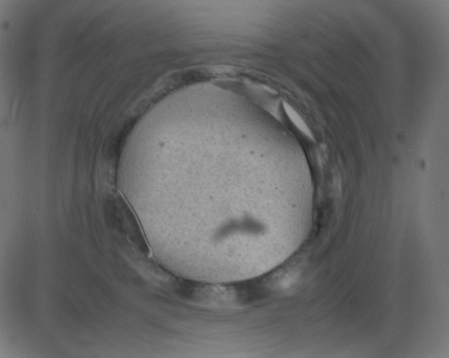 X0000081310421200702012339