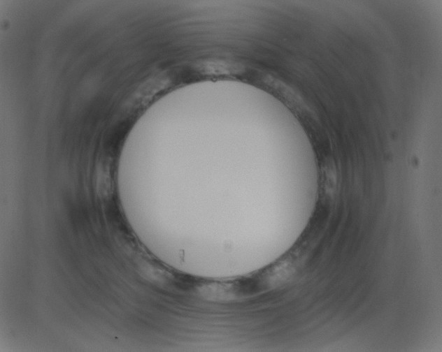 X0000081310422200702012339