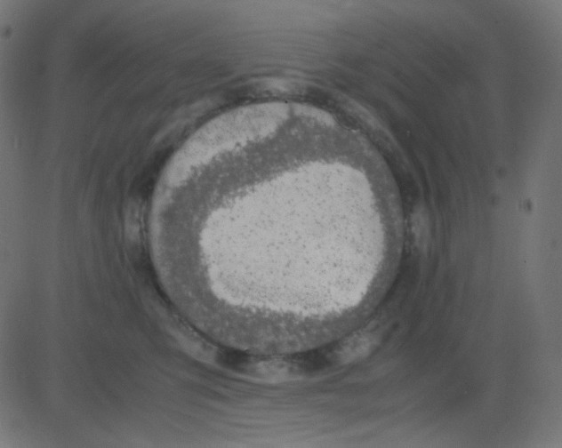 X0000081310423200702012339