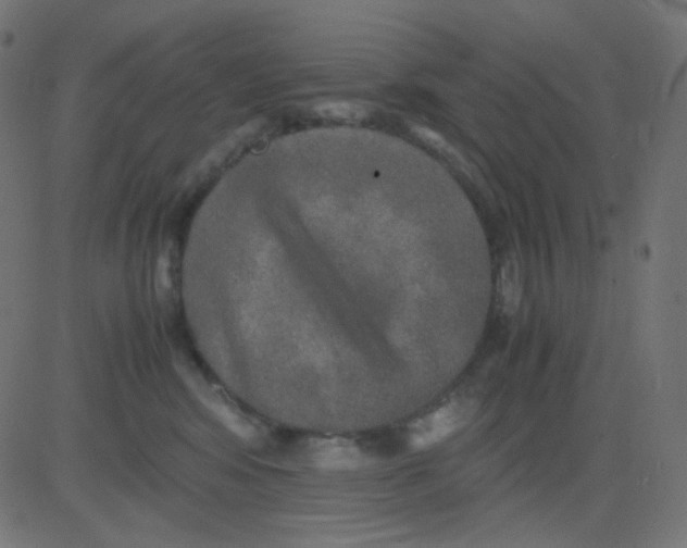 X0000081310424200702012339